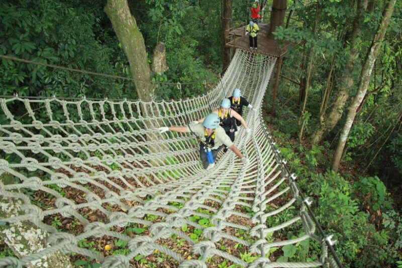 Chiang Mai: Zipline Adventure With Buffet Lunch and … - Recommendations and Restrictions