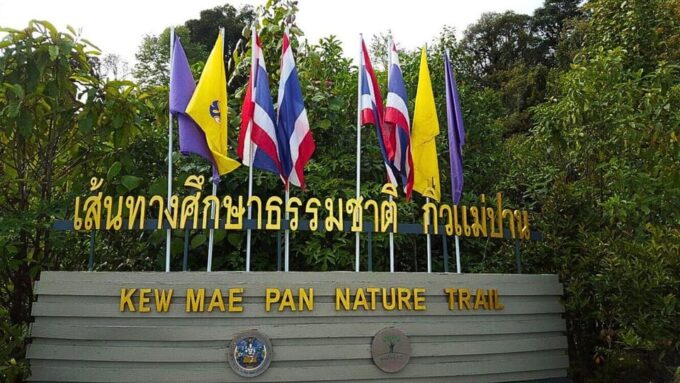 Chiang Mai:Doi Inthanon National Park & Hike at Kew Mae Pan - Exploring Doi Inthanon National Park