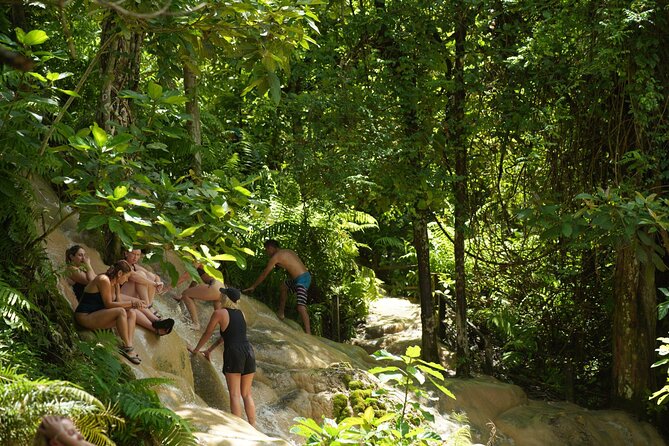 Chiang Mai:Sticky Waterfall Adventure and Bua Tong Huge Cave Tour - Key Attractions