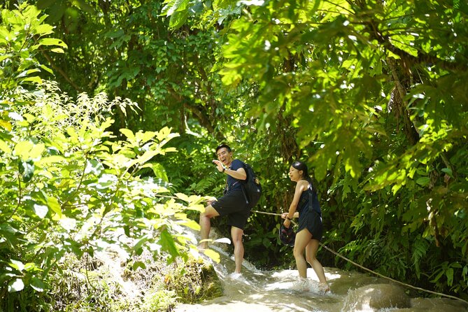 Chiang Mai:Sticky Waterfall Adventure and Bua Tong Huge Cave Tour - Meeting and Pickup Locations