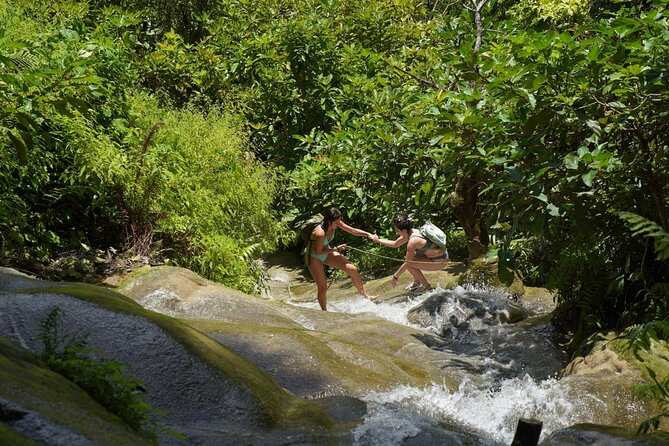 Chiang Mai:Sticky Waterfall Adventure and Bua Tong Huge Cave Tour - Inclusions and Amenities