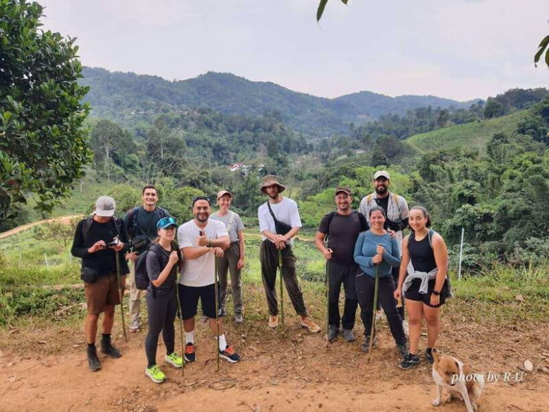 Chiang Rai: 2-Day Jungle Trek Only Walk With Waterfall - Key Points