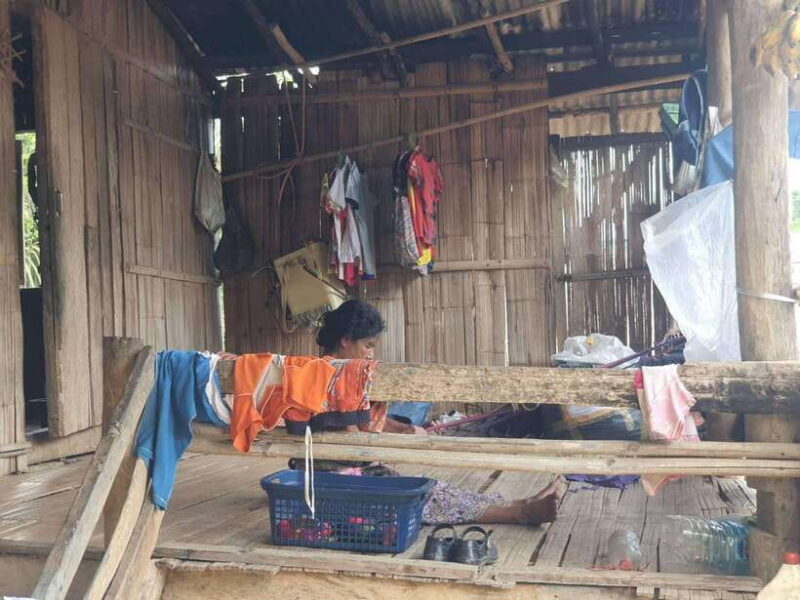 Chiang Rai: 2-Day Jungle Trek Only Walk With Waterfall - Participant Guidelines