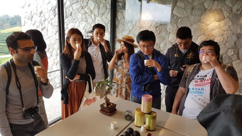 Chiang Rai: Guided Full-Day Highlights Tour With Thai Lunch - Customer Reviews
