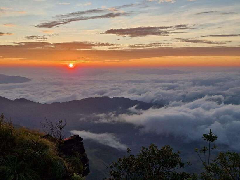 Chiang Rai: Magical Morning at Phu Chi Fah With Hotel Pickup - Key Points