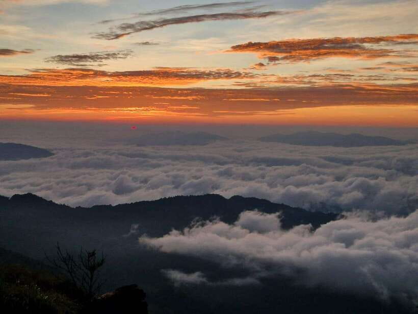 Chiang Rai: Magical Morning at Phu Chi Fah With Hotel Pickup - Scenic Drive and Exploration