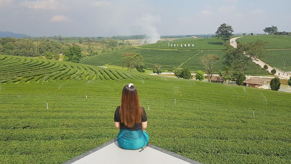 Chiang Rai:Guide With Lunch Full Day Highlight Tour - Key Points