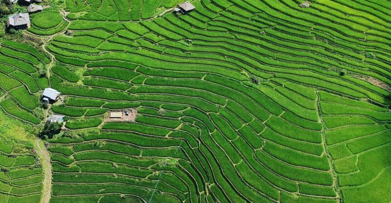 Chiangmai : Doi Inthanon Unseen Spot , Rice Terrace & Temple - Itinerary Highlights