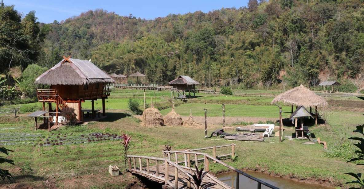 Chiangmai: Highlights Full-Day Tour With Private Driver - Tour Duration and Booking