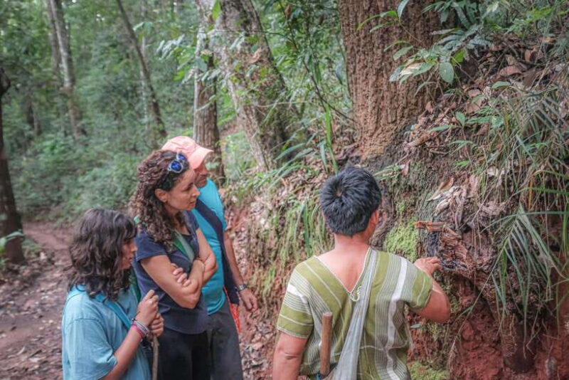 Chiangmai Hilltribe Coffee Forest : Trek Plant Roast & Brew - Key Points
