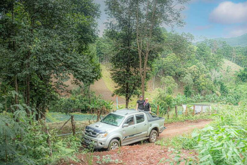 Chiangmai Hilltribe Coffee Forest : Trek Plant Roast & Brew - Adventure Ride to the Hidden Mountain Oasis