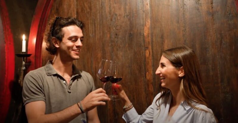 Chianti and Castles Tour From San Gimignano - Who Is This Tour Perfect For?