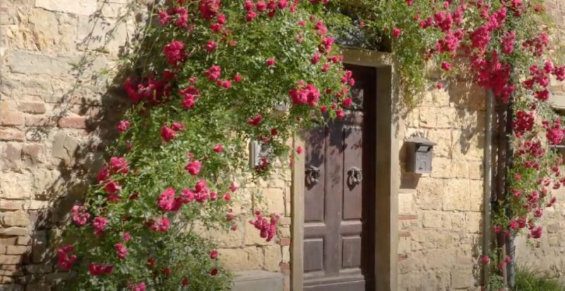 Chianti and Castles Tour From San Gimignano - The Sum Up