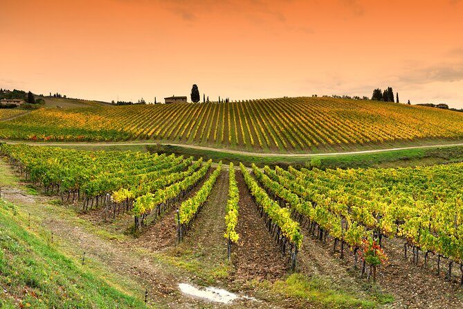 Chianti and Castles Tour from Siena Small Group - Analyzing the Value