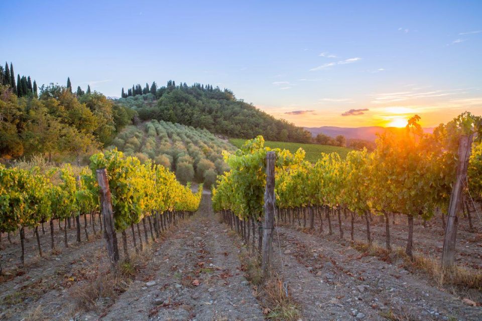 Chianti and San Giminiano Wine Tour - Private Experience - Itinerary Highlights