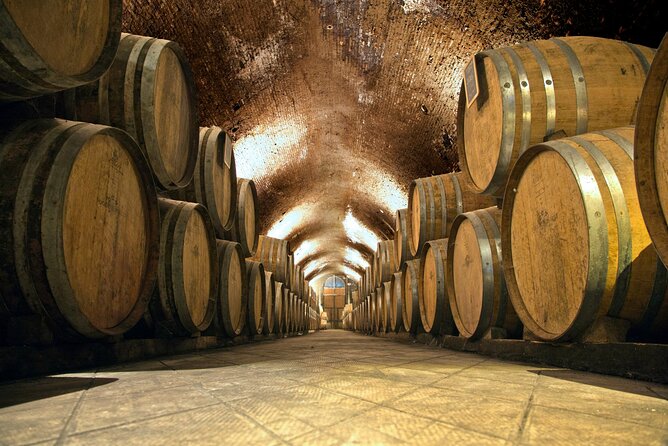 Chianti and Supertuscan Private Tour With Lunch From Livorno - Culinary Highlights