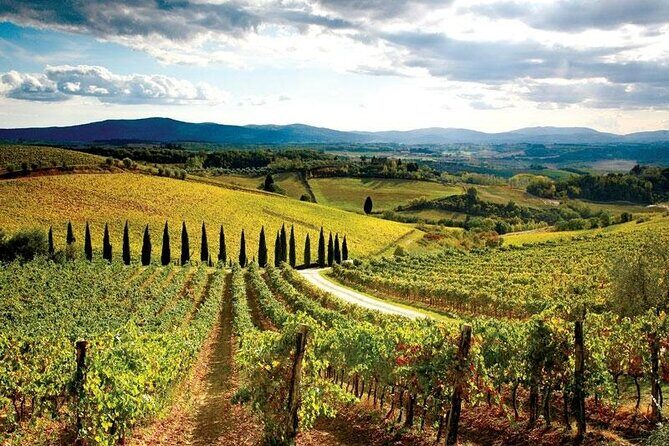 Chianti Classic Vintage Fiat 500 Tour - Key Points