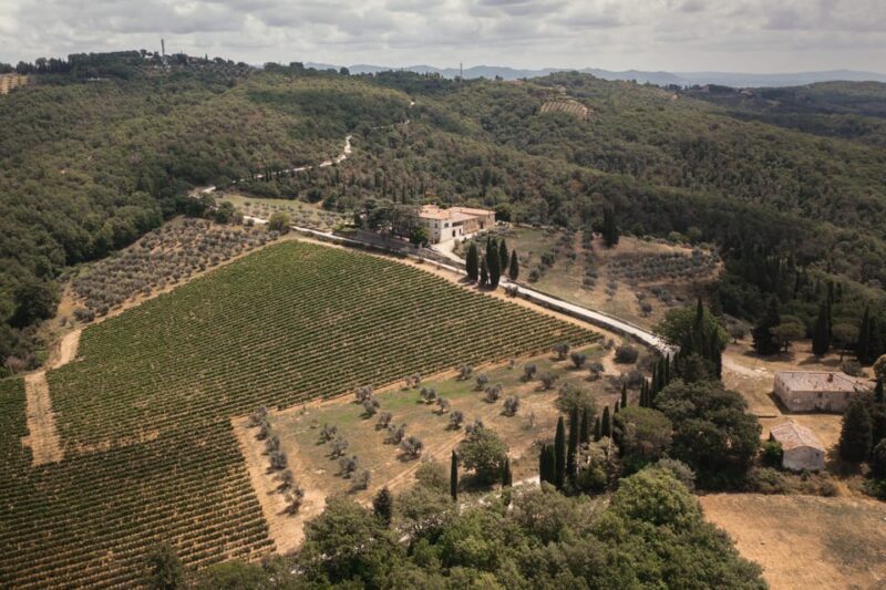Chianti Classico Wine Tasting & Lunch - Exploring the Estate and Its Heritage
