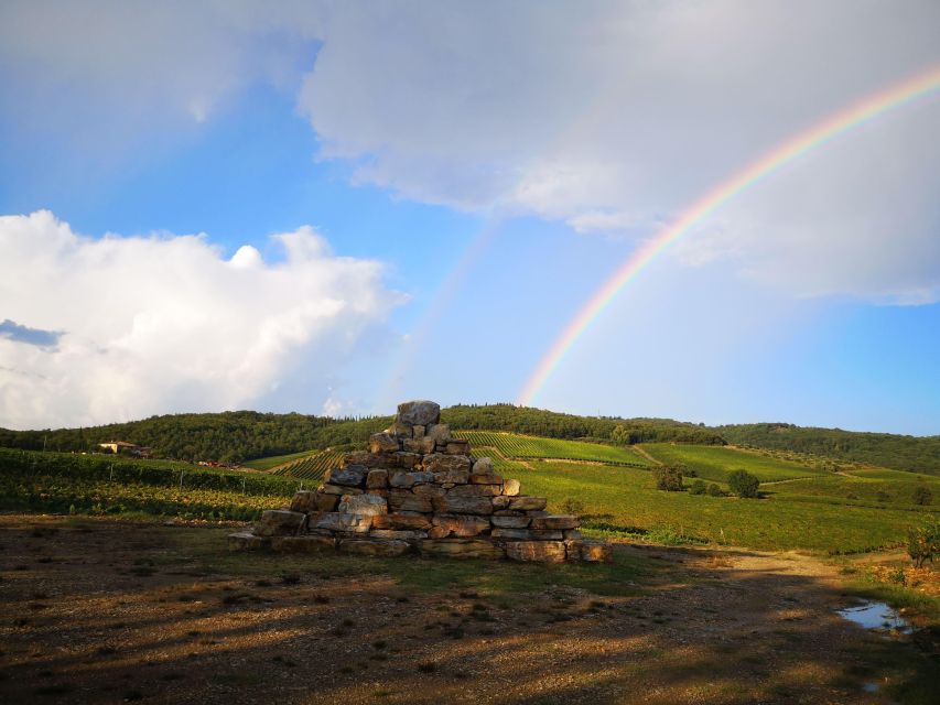 Chianti Classico Wine Tasting - Tasting Experience Highlights