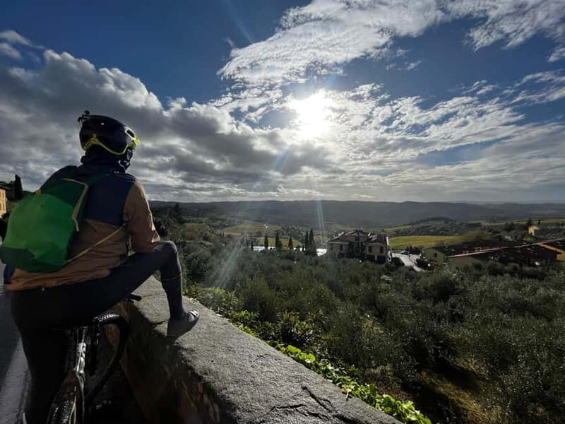 Chianti: E-Bike Tour with Castle Visit and Wine Tasting - A Detailed Look at the Experience