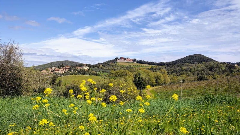 Chianti: E-Bike Tour with Castle Visit and Wine Tasting - Who Will Love This Tour?
