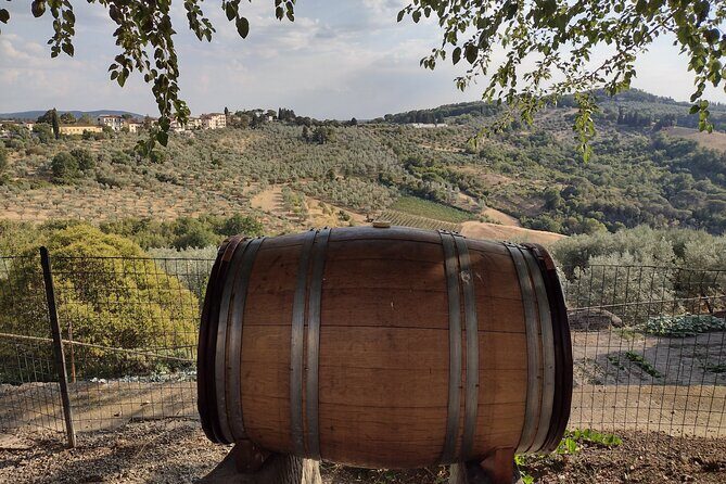 Chianti: eno-excursion through the vineyards - An Authentic Taste of Chianti: A Detailed Review of the Eno-Excursion Through Vineyards