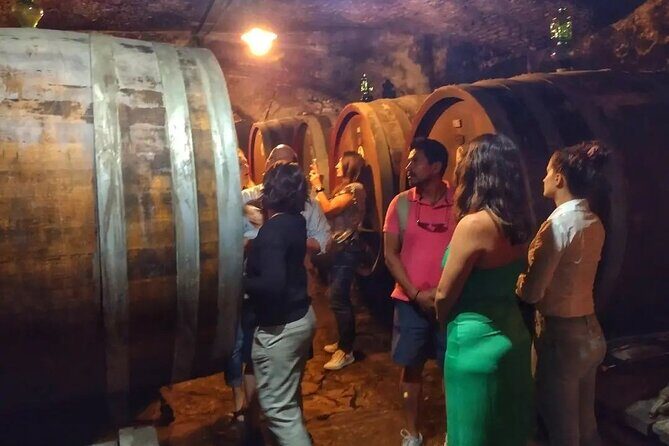 Chianti: eno-excursion through the vineyards - Key Points