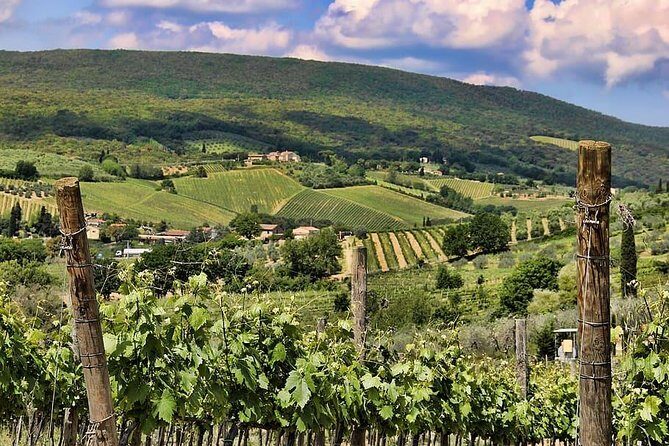 Chianti: eno-excursion through the vineyards - Who Will Love This Tour?