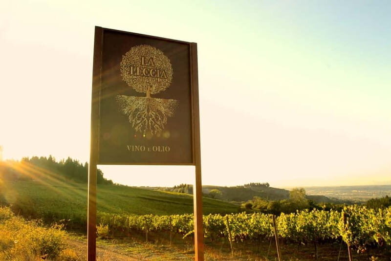 Chianti: Fattoria La Leccia - Guided Visit and Tasting - An In-Depth Look at the Fattoria La Leccia Experience