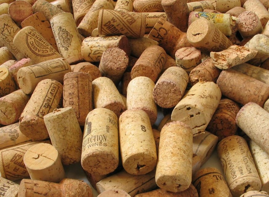 Chianti Half-Day Wine Tour included meal & tasting (5hrs) - An In-Depth Review of the Chianti Half-Day Tour