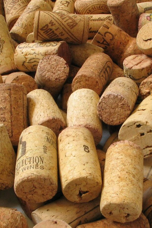 Chianti Half-Day Wine Tour included meal & tasting (5hrs) - Who Is This Tour Best For?