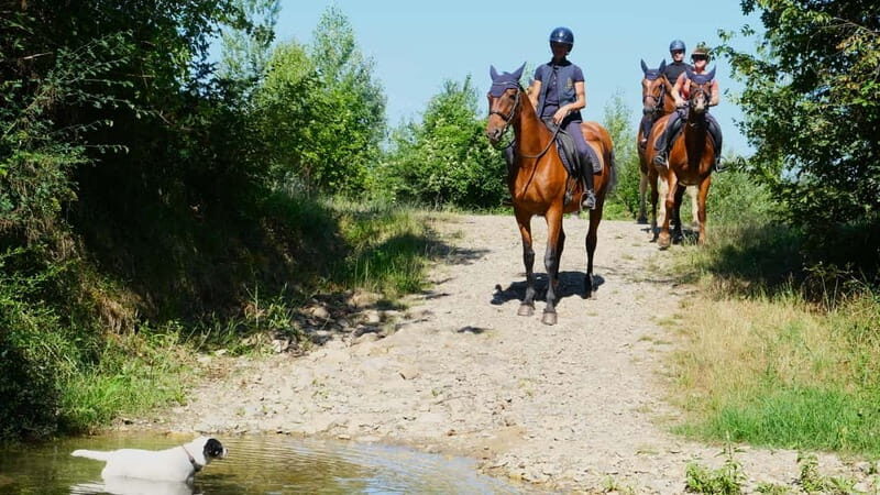 Chianti: Horseback Riding Through Vineyards and Woods - Key Points