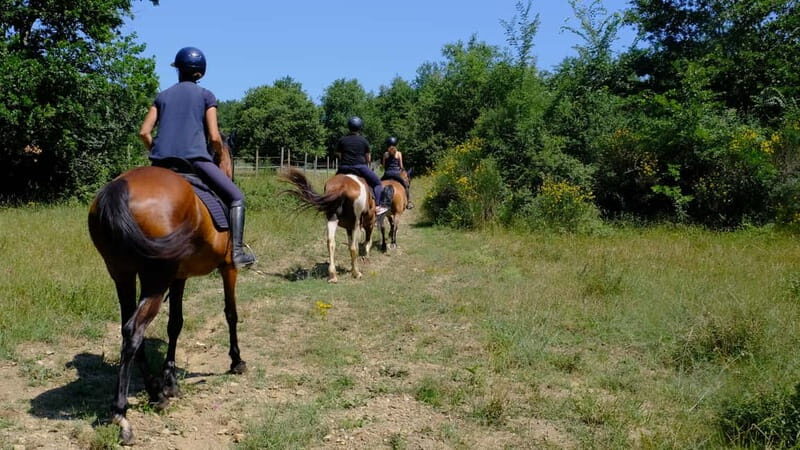 Chianti: Horseback Riding Through Vineyards and Woods - FAQs