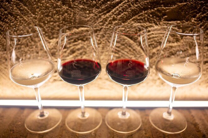 Chianti: Lunch with Wine Tasting at Poggio ai Laghi Winery - A Close Look at the Experience