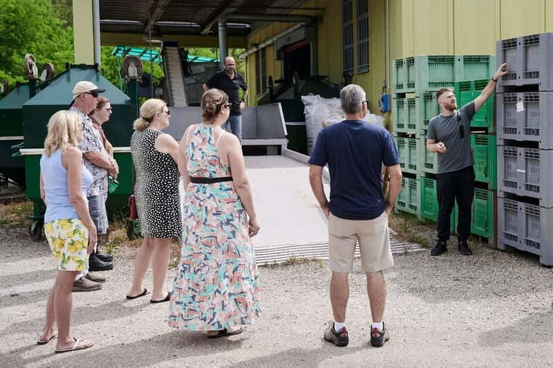 Chianti: Olive Mill Guided Tour with 3 Oil Tastings & Food - The Practicalities: What You Need to Know