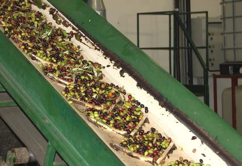 Chianti: Olive Mill Guided Tour with 3 Oil Tastings & Food - Frequently Asked Questions