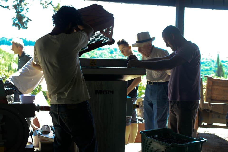 Chianti Organic Wine Tasting - Key Points