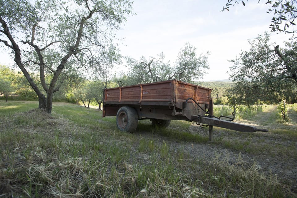 Chianti Organic Wine Tasting - Activity Overview and Pricing