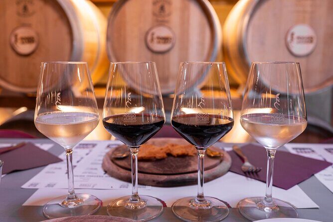 Chianti: Premium Wine, Olive Oil and Vinegar Tasting - Setting the Scene: What to Expect