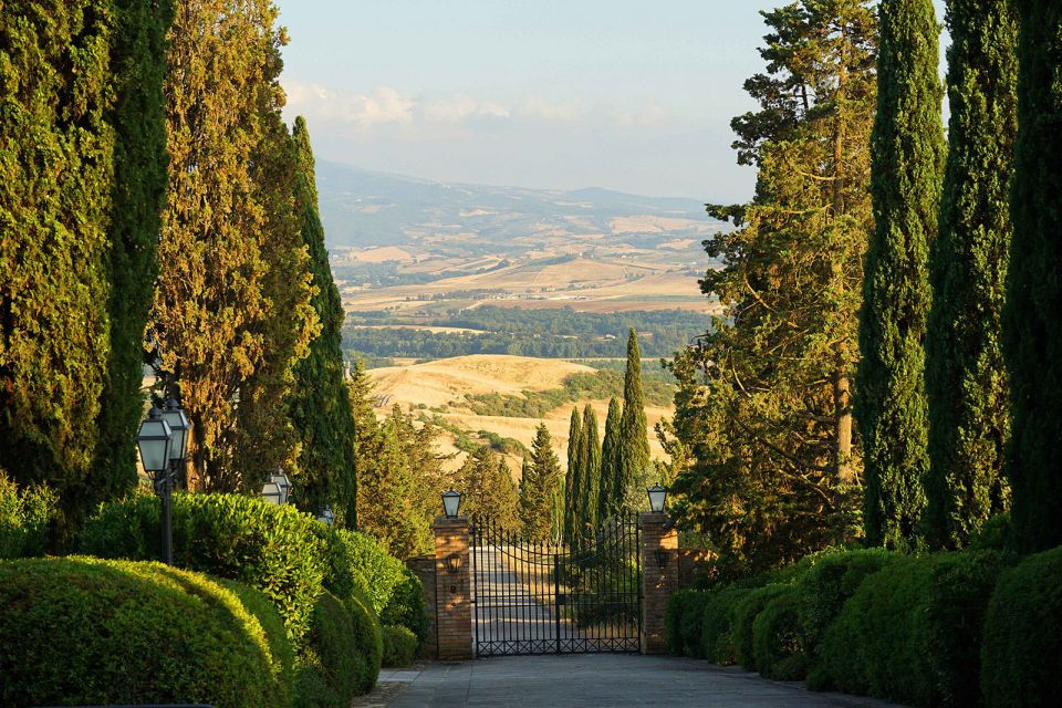 Chianti: Private Tour & Wine Tasting at Castle-Wineries - Tour Highlights and Full Description