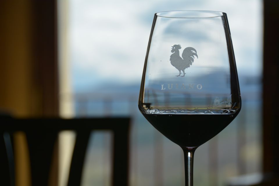 Chianti: Private Tour & Wine Tasting at Castle-Wineries - Recap