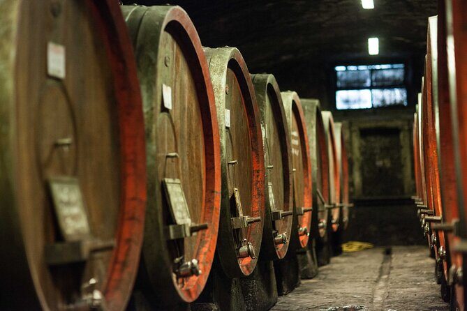 Chianti Rufina Lunch and Wine Tasting Experience - Who Will Love This Tour?