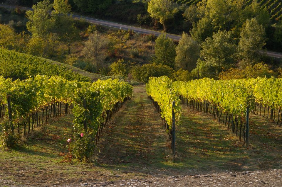 Chianti, Siena, S. Gimignano & Wine Tasting Private Tour - Itinerary