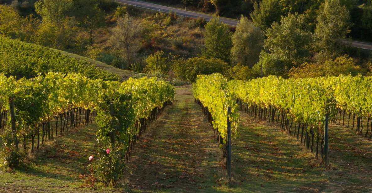 Chianti, Siena, S. Gimignano & Wine Tasting Private Tour - Description