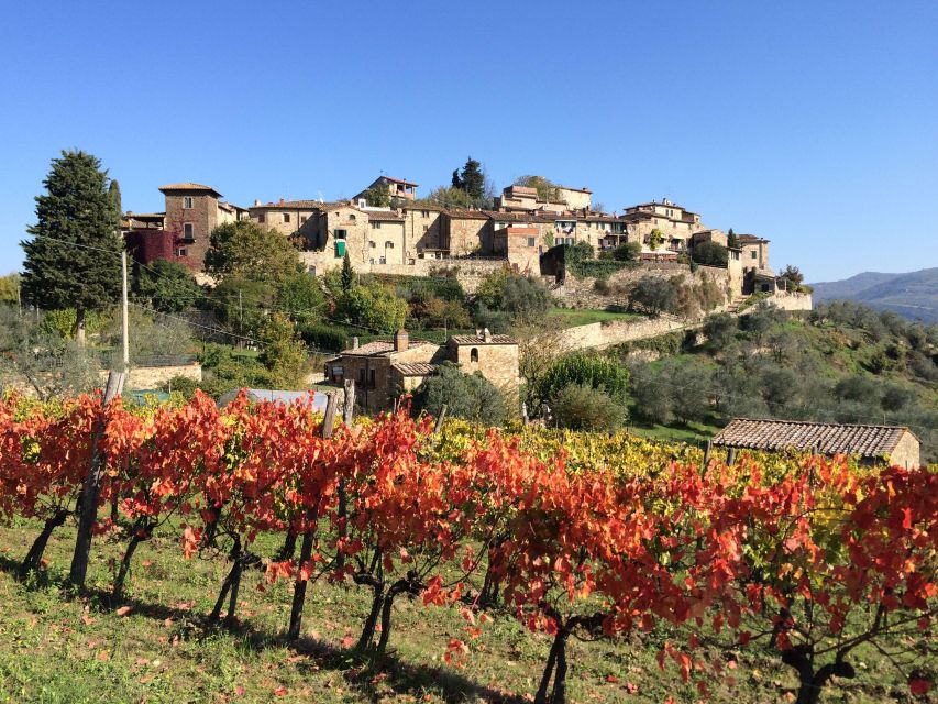 Chianti, Siena, S. Gimignano & Wine Tasting Private Tour - Recap