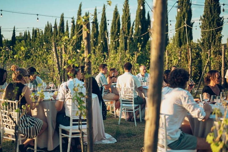 Chianti: Tuscan Vineyard Dinner with Wine Tasting - An Authentic Taste of Tuscany’s Wine and Food