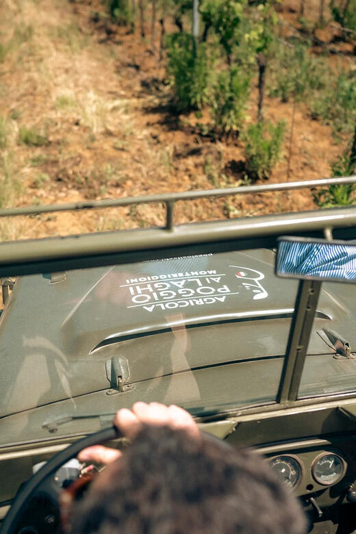 Chianti: Tuscan Vineyard Old Jeep Tour, Wine Tasting & Lunch - Who Should Consider This Tour?