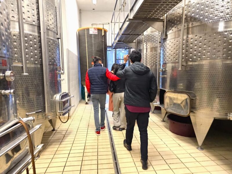 Chianti: Vineyard to Bottle Winery Visit With Tastings - Winery Visit and Wine Tasting