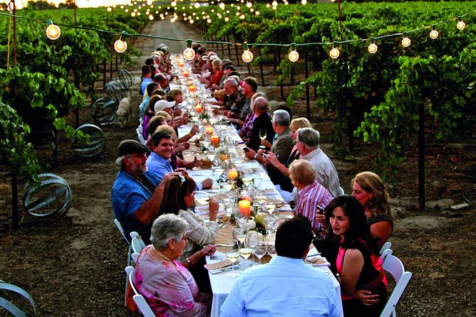 Chianti Vineyards: Small-Group Tour With Wine Tasting & Dinner - Winery Visit and Tasting