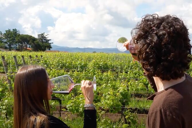 Chianti Vineyards: Small-Group Tour With Wine Tasting & Dinner - Outdoor Candle-Lit Dinner